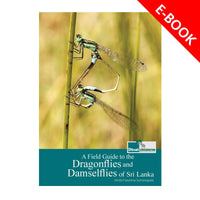 Field Guide to Dragonflies & Damselflies of Sri Lanka – eBook