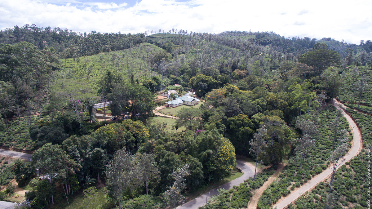 The Living Terroir of Aislaby